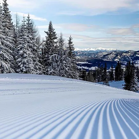 Grebenzen Mazzel Semesterbostad Sankt Lambrecht