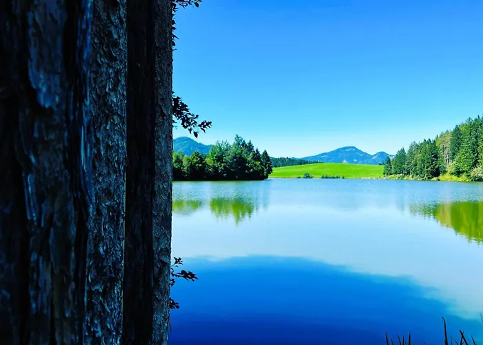 Grebenzen Mazzel * 圣兰布雷希特